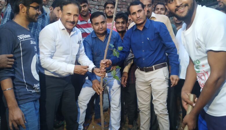 वृक्षारोपण अभियान