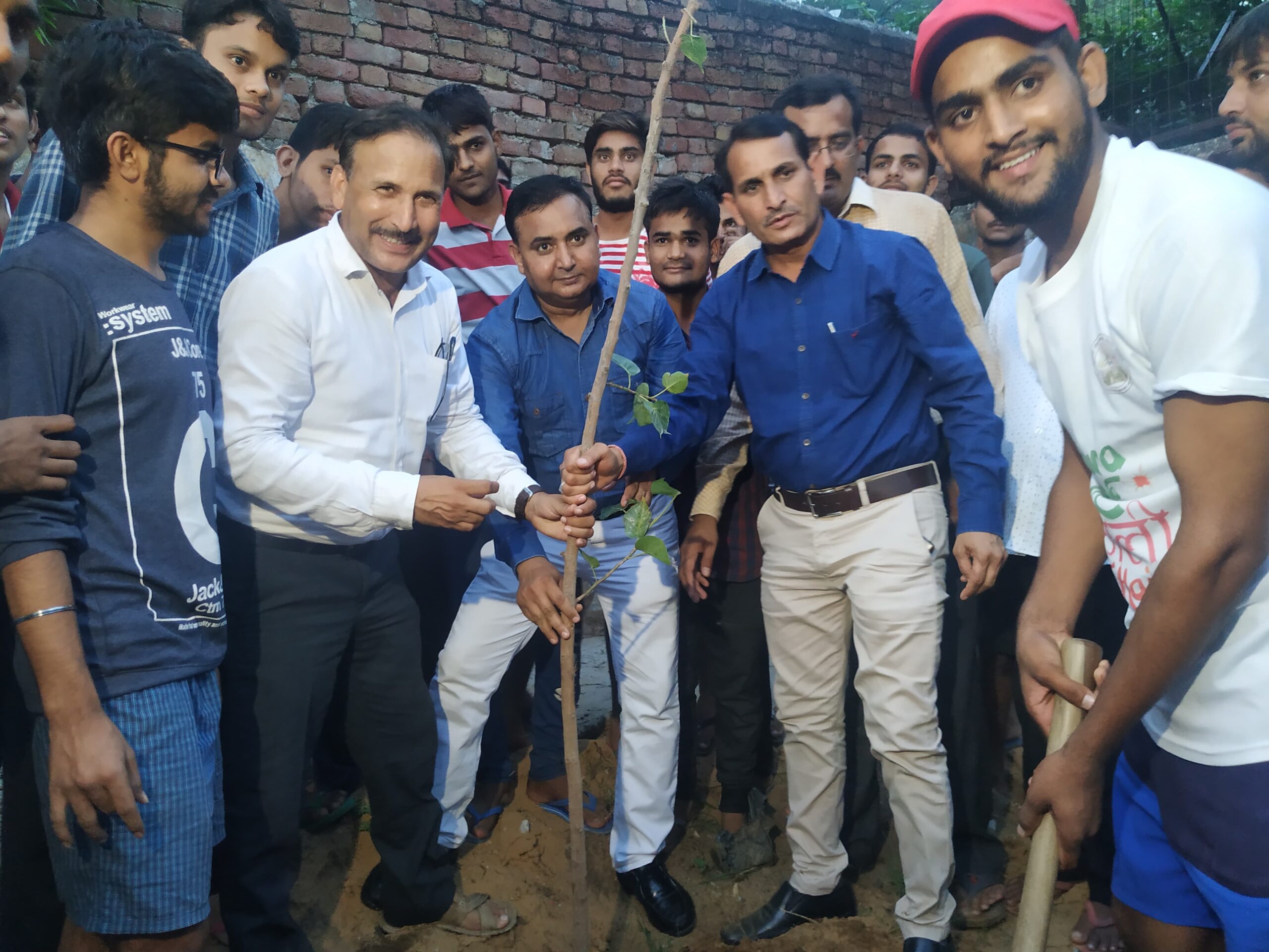 वृक्षारोपण अभियान